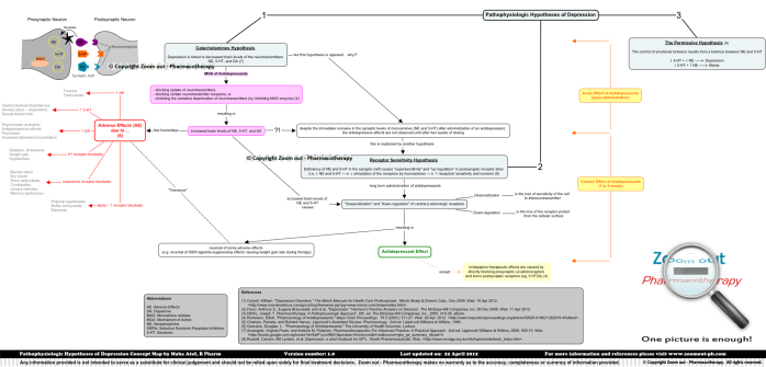 Depression Pathophysiology Concept Map