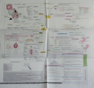 Obesity Concept Map Folded Poster