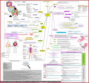 Obesity Concept Map