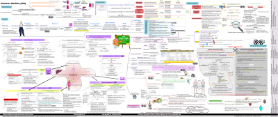 diabetes mellitus concept map from Zoom out - Pharmacotherapy