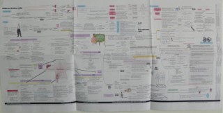 Diabetes Mellitus Concept Map Folded Poster