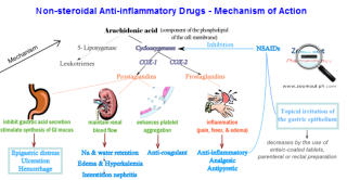 Non-steroidal Anti-inflammatory Drugs - Mechanism of Action